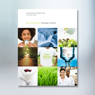 2011 sustainability update