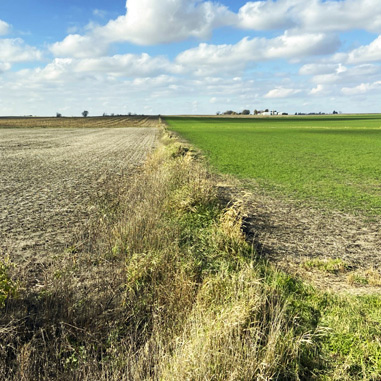 Sustainably farmed fields