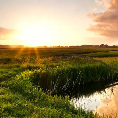 Sunset over a small pond