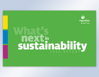 2020 sustainability update