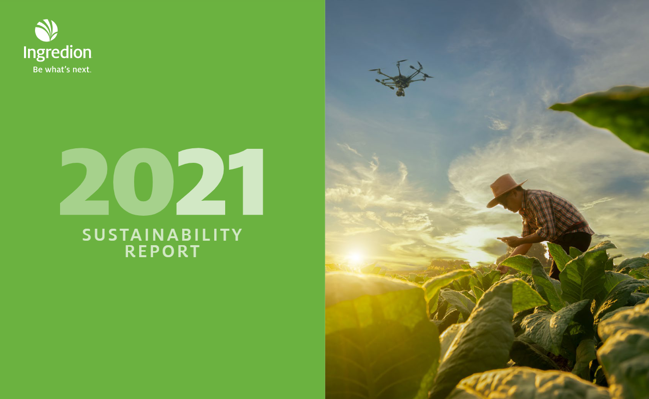 2021 Sustainability report